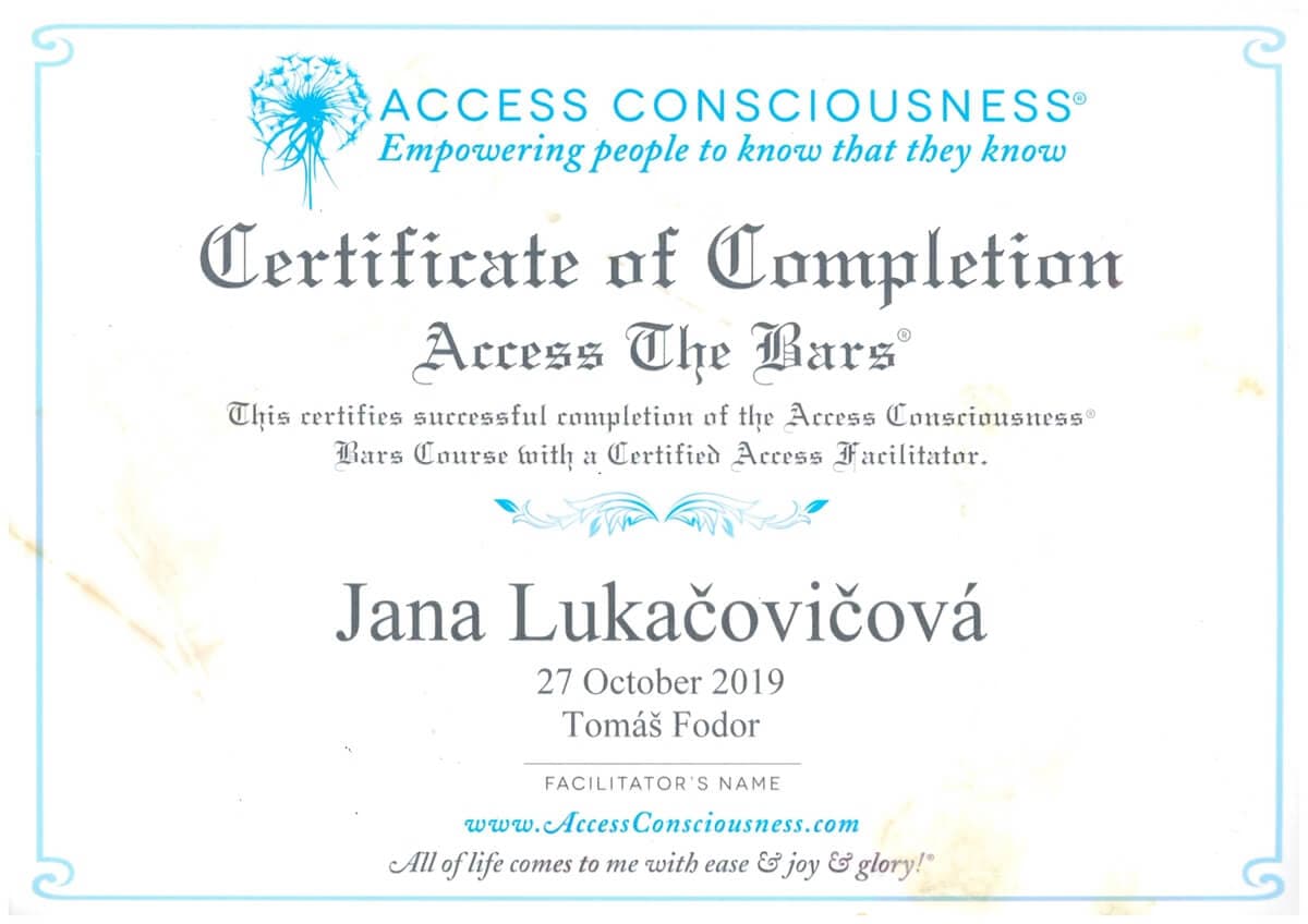 Access The Bars®