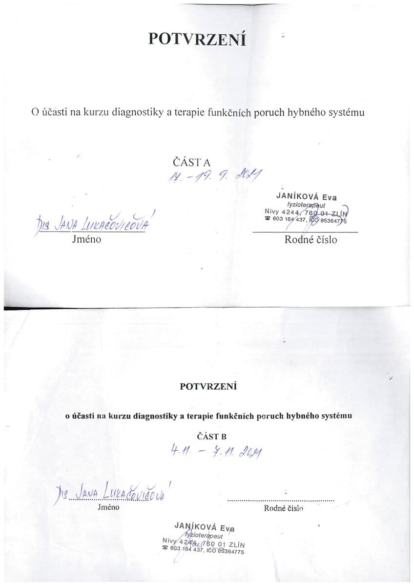 Diagnostika a terapie funkčních poruch hybného systému