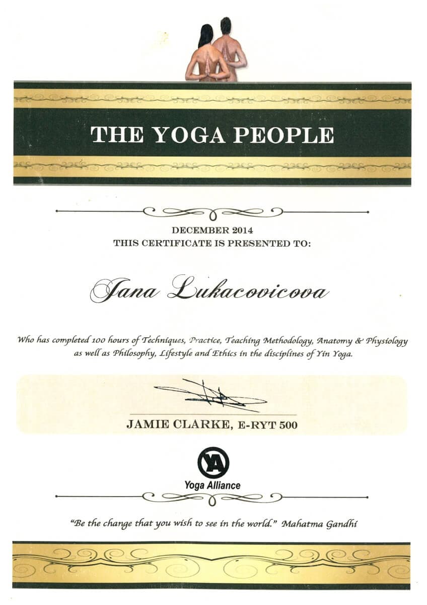 Yin Yoga — 100 hours